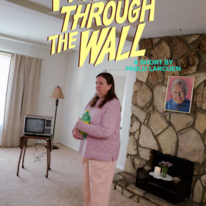 I Walked Through The Wall