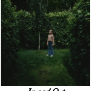 In and Out of the Hornbeam Maze